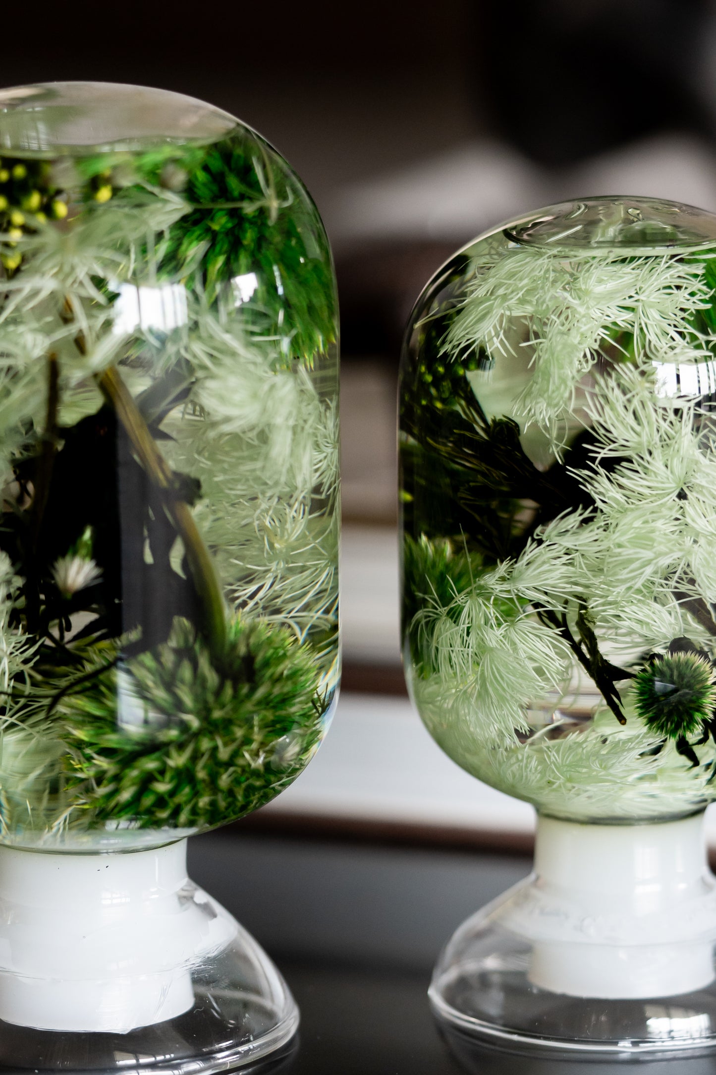 Green Fragment