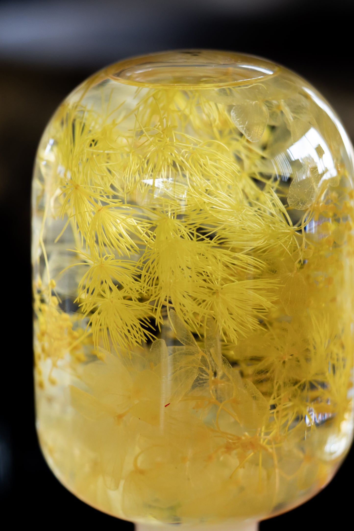 Yellow Fragment
