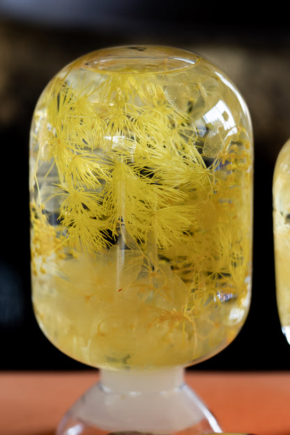 Yellow Fragment
